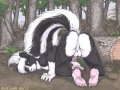 skunk.jpg